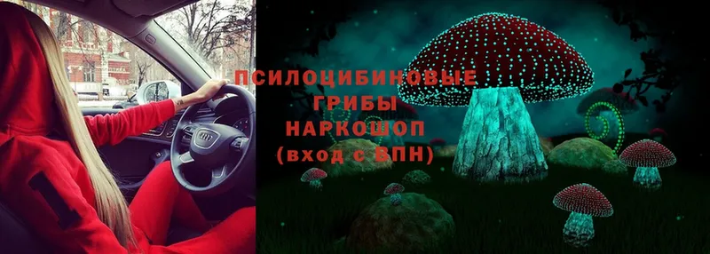 Галлюциногенные грибы Magic Shrooms  mega ссылки  Дмитров 